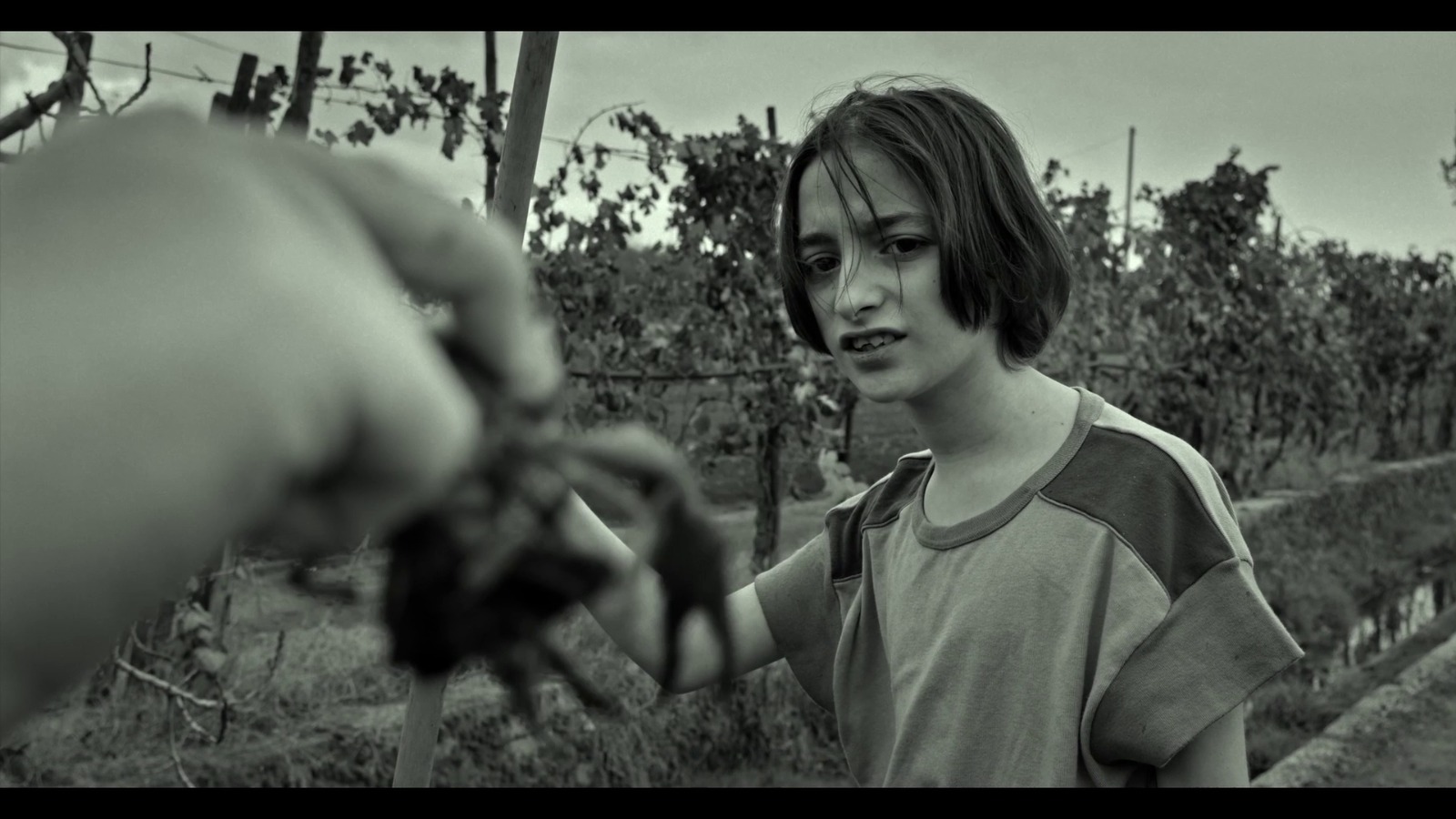 Dura Lex", il corto scritto dai giovani detenuti del carcere di Airola  protagonista al Napoli Film Festival