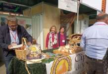 Cipolla di Vatolla al Salone del Gusto di Torino