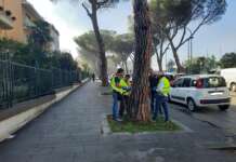 Il maltempo blocca i lavori al viale degli Atlantici: l’annuncio dell’assessore Cappa