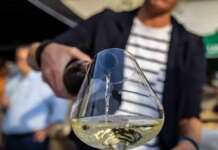 DOC Campania vini, Castelluccio: “Gli agronomi favorevoli ad incrementare il prestigio dei prodotti nostrani”