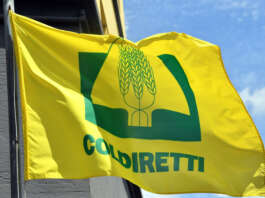 Protesta trattori: Coldiretti Campania convoca la base per lunedì