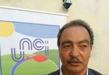 Unci Agroalimentare, Scognamiglio: “Istituire Ministero del mare per rilanciare filiera ittica”