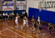 Virtus Academy Benevento, sannite ammesse in serie A2: incognita palasport