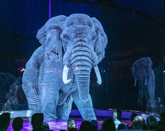 Ad Avellino il primo circo con animali olografici