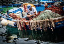A Ischia denunciati due pescatori di frodo