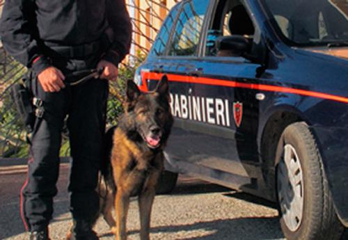 Droga, operazione ‘Mare d’inverno’: arresti anche a Benevento