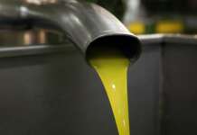 Olio “extravergine” solo in etichetta: sequestrate 18 tonnellate al porto