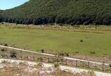 Arretrati in parte corrisposti, soddisfazione dei ‘forestali’ della Comunità Montana del Taburno