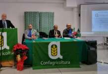 Assemblea di Confagricoltura Avellino, Frattolillo riconfermato presidente