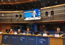 Brucellosi bufalina, Pedicini: “Stop mattanza, Campania si attenga a norme Ue”
