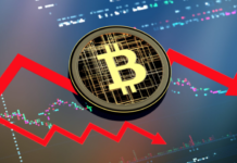 Monero è un solido investimento in criptovalute nel 2024-2025?