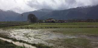 Pioggia e vento, gravi danni all’agricoltura nel salernitano