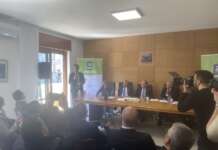 Asi spot award, sfida tra imprese su green e innovazione