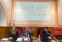 Inquinamento, i dati della rete Aura “smentiscono” Festa: “Situazione ambientale critica”