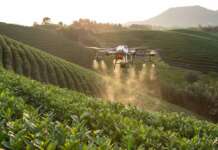 Agricoltura di precisione, aperte le iscrizioni al Corso Avanzato