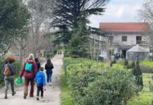 Costituito il Comitato dei genitori di Airola: “Inclusione, sicurezza e rispetto delle regole”