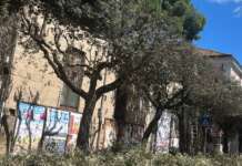 Benevento, in corso la potatura degli alberi. Rosa: “Operazione fondamentale”