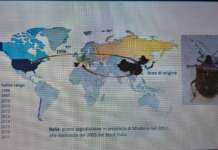 Nocciole, monitoraggio in Irpinia e metodi di lotta biologica contro la cimice asiatica