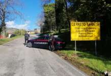Truffe agli anziani e “on line”: carabinieri denunciano 5 persone