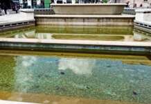 Maltempo e incuria, l’acqua della fontana a piazza Libertà diventa verde