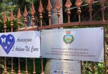 Vandali nella sede di un’associazione per bimbi autistici nel Napoletano