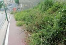 Verde pubblico, Io X Bn: “Ciriticità in via di risoluzione attraverso il riscatto sociale”