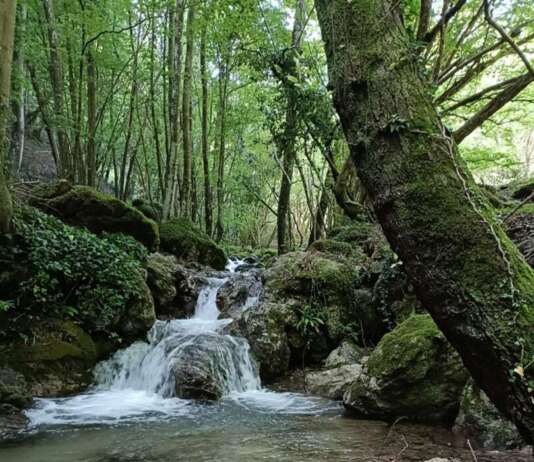 Serino, estate 2023 all’insegna del turismo naturale e della riscoperta del territorio irpino