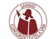 Il Sannio Consorzio Tutela Vini riparte con nuovi corsi della Sannio Wines Academy