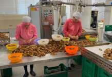 Tour tra allevamenti e aziende, Scaglione: “Così rispondiamo alle istanze del mondo agricolo”
