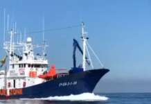 Nuovo sbarco a Salerno, 172 persone a bordo della nave Aita Mari