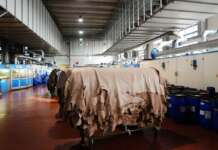 “SoLeather”, il sapere incontra la moda: distretto conciario in cattedra