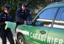 FOTO/ Blitz dei carabinieri al cimitero di Buccino, sigilli alla discarica abusiva abbandonata tra i rovi Forestali