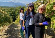 La cantina irpina Donnachiara tra le 36 migliori al mondo