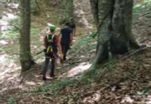 Gli operai forestali della Comunità Montana del Fortore forniranno supporto alle ricerche di Nicola Paolozza