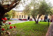 ‘Officine Roseto’, alla Solot un corso di cinema gratuito