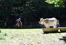 A Ottati la penultima prova del circuito X-Country con la XC dei Tre Rifugi