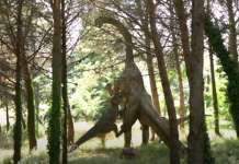 Il parco di San Lorenzello: sperpero di soldi, zero visitatori e dinosauri abbandonati (VIDEO)