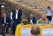 Doc per i vini campani, l’Irpinia chiede rispetto