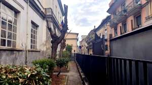 Alberi capitozzati a Marcianise, insorge la LIPU Caserta Alberi capitozzati a Marcianise, insorge la LIPU Caserta
