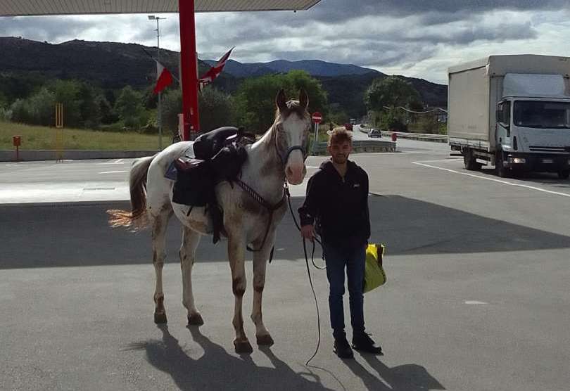 Viaggio di fede: dalla Basilicata ad Assisi in sella ad un cavallo cieco per una benedizione Viaggio di fede: dalla Basilicata ad Assisi in sella ad un cavallo cieco per una benedizione