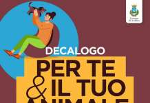 Cani domestici, il Comune lancia il decalogo