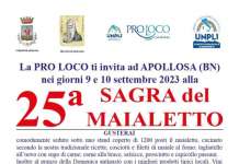 Pro Loco Apollosa, programmata per il 9 e 10 settembre la ‘Sagra del maialetto’