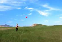 Quali sono i passatempi preferiti dagli italiani?