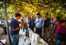 Jazz in Vigna: musica, cibo e vino nei vigneti dei Campi Flegrei