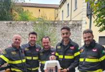 Vigili del fuoco sanniti da applausi: salvano un gattino incastrato in un motore (FOTO)