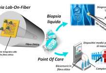 Fibre ottiche e Nanotecnologie: ricercatori Unisannio sviluppano un nuovo biosensore fotonico