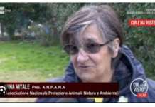 Addio Anna Vitale, una vita dedicata agli animali