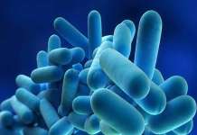 Allarme legionella, sotto osservazione anche l’Irpinia