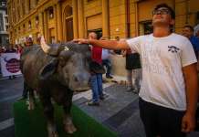 Brucellosi, Amore (Cia): “Ora siamo sulla buona strada”