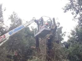 Vomero, via dal Parco Mascagna la gestione verde di strade adiacenti: “Che rischi dopo alberi tagliati?”